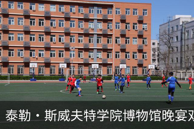 泰勒·斯威夫特学院博物馆晚宴双蓝造型献唱